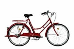 Bisan Roadstar GL  Bayan Bisikleti (V Fren)