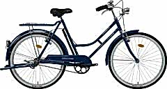 Bisan Roadstar GL  Bayan Bisikleti (V Fren)