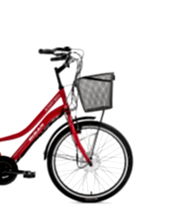 Bisan E-Porter Lit Elektrikli Kargo Bisikleti Bayrak Kırmızı