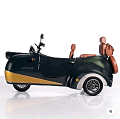 Lampago Sunset Üç Tekerli Elektrikli Bisiklet Yeşil