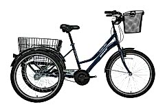 Bisan Porter Kargo Bisikleti Sarı