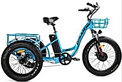 Bisan Bully Fatbike Elektrikli Kargo Bisikleti Mavi